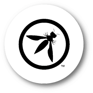 OWASP